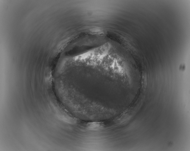 X0000114990320200911161519