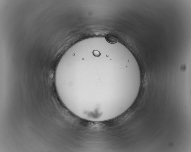 X0000114990321200911161519