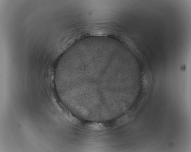 X0000114990322200911161519