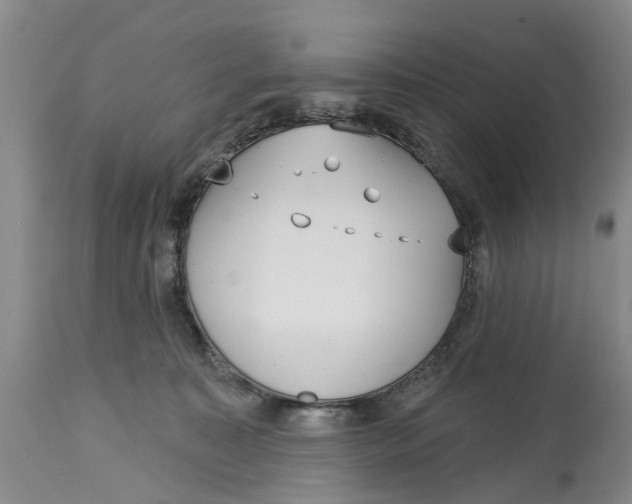 X0000114990323200911161519