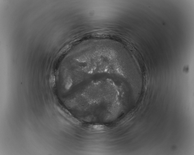 X0000114990324200911161519