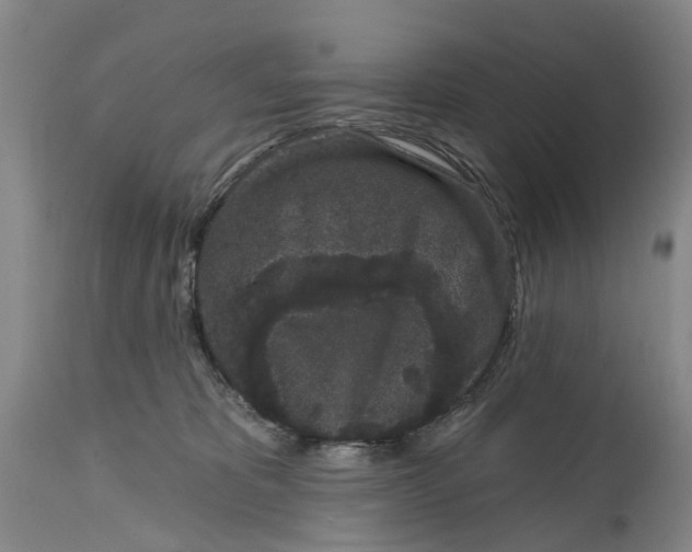 X0000114990325200911161519