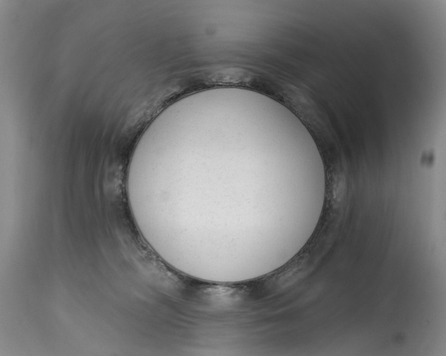 X0000114990326200911161519