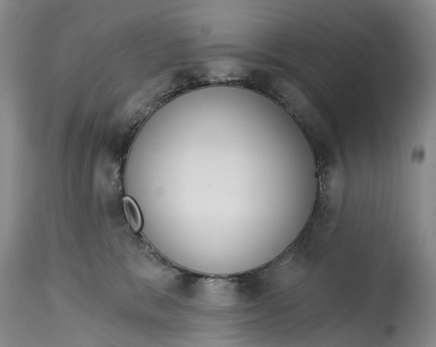 X0000114990327200911161519