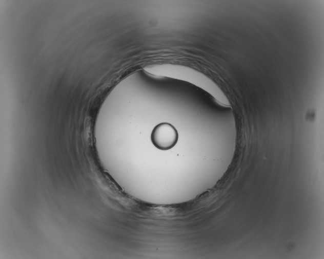 X0000114990328200911161519