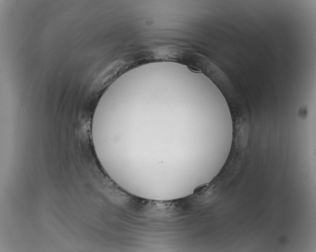 X0000114990329200911161519