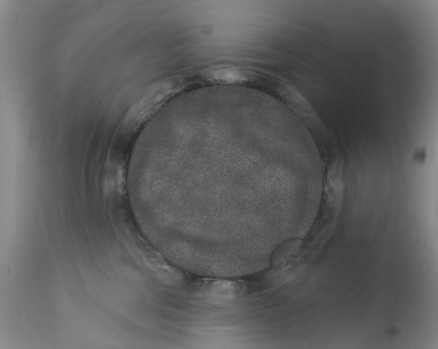 X0000114990330200911161519