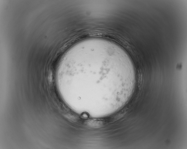 X0000114990331200911161519