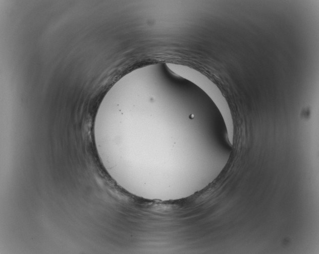 X0000114990332200911161519