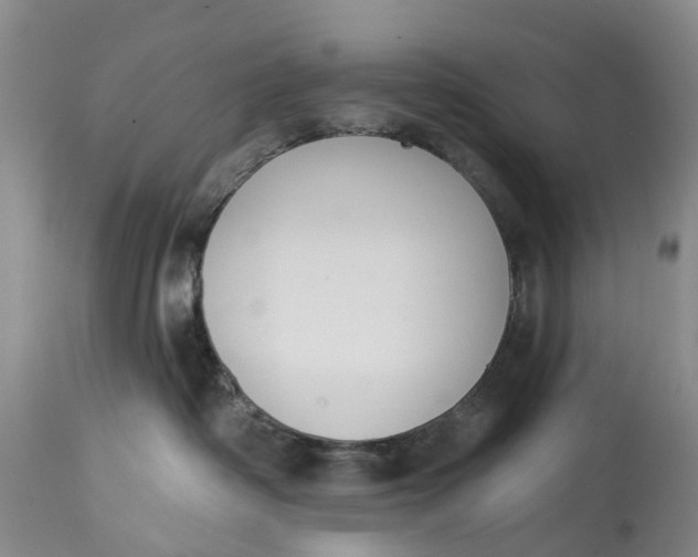 X0000114990334200911161519