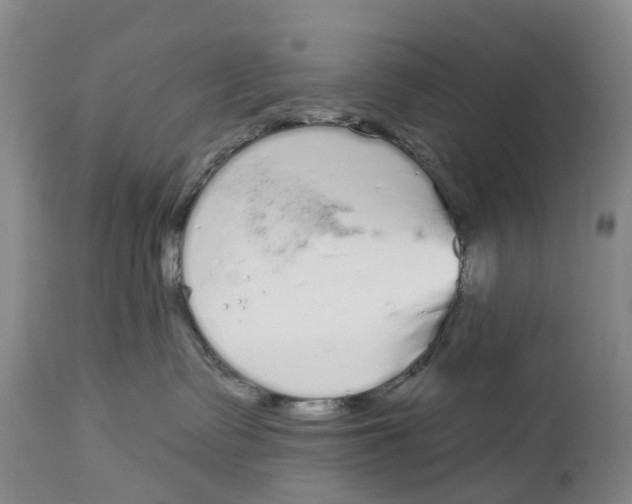 X0000114990335200911161519