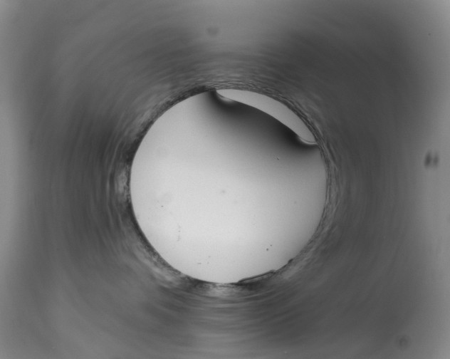 X0000114990336200911161519