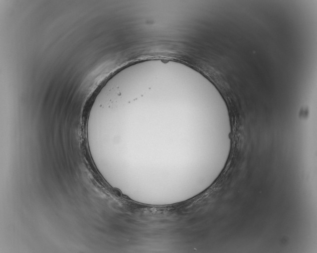 X0000114990338200911161519