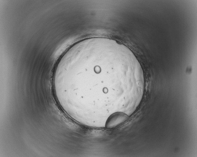 X0000114990341200911161519