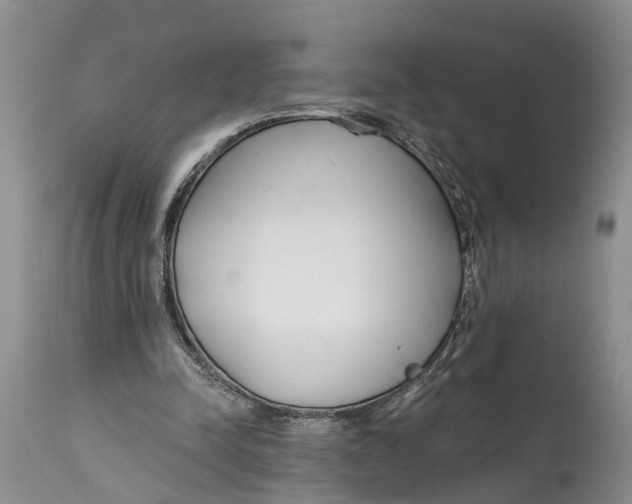 X0000114990342200911161519