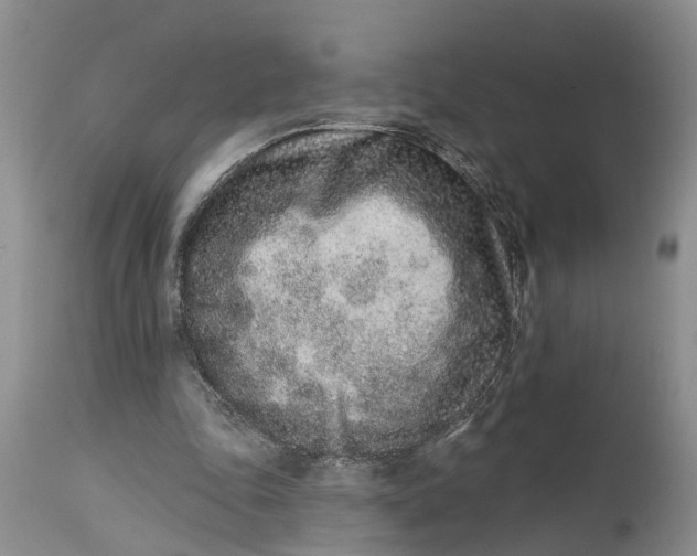 X0000114990343200911161519