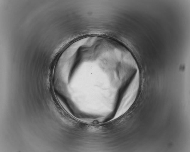 X0000114990346200911161519