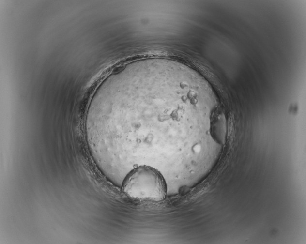 X0000114990347200911161519