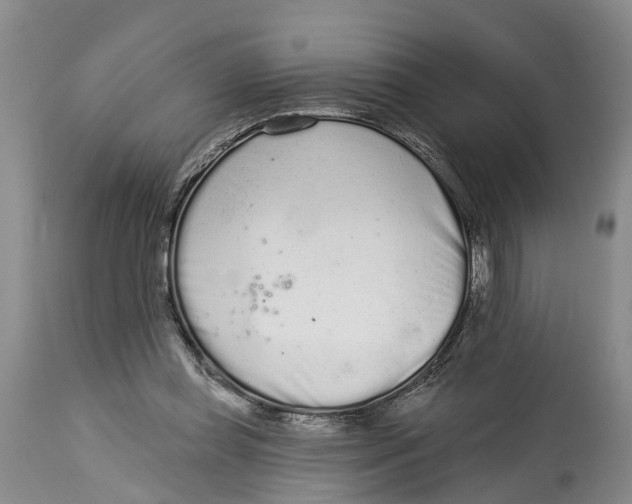 X0000114990349200911161519