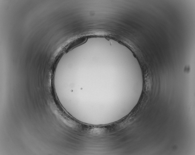 X0000114990350200911161519