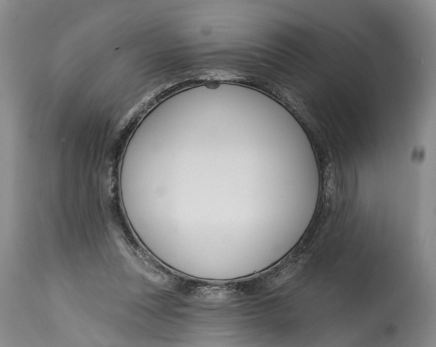 X0000114990351200911161519