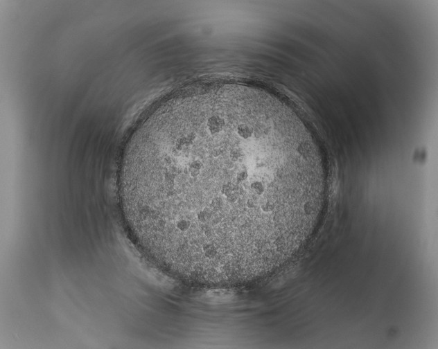 X0000114990353200911161519