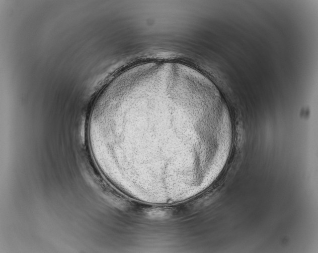 X0000114990358200911161519