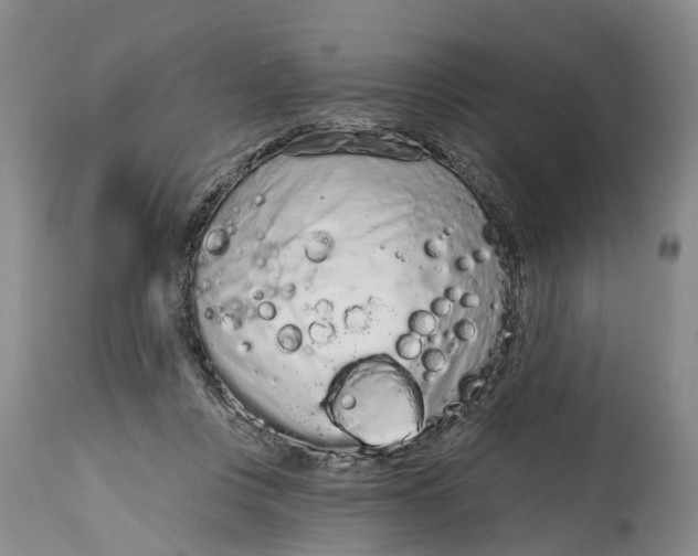 X0000114990359200911161519