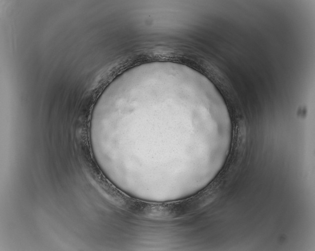 X0000114990361200911161519