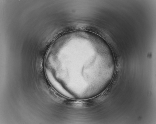 X0000114990363200911161519