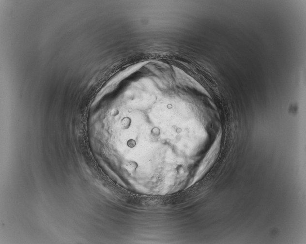 X0000114990365200911161519