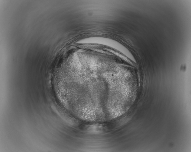 X0000114990366200911161519