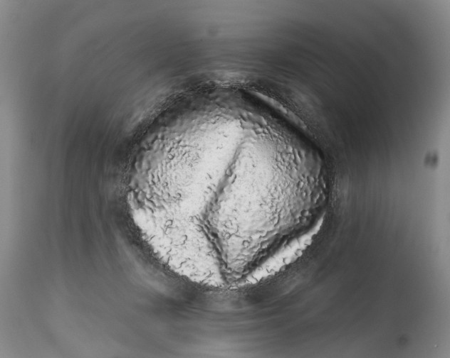 X0000114990367200911161519