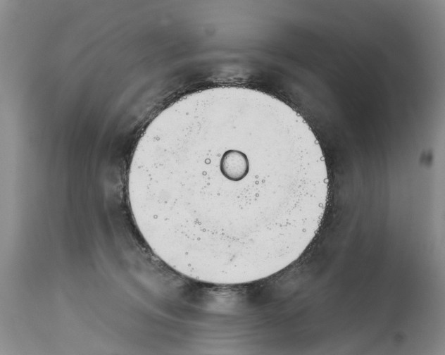 X0000114990370200911161519