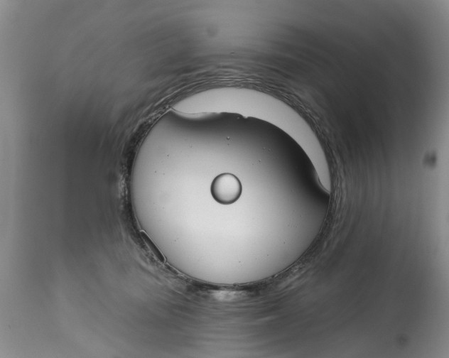 X0000114990371200911161519