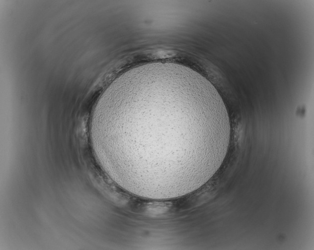 X0000114990373200911161519