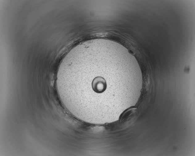 X0000114990374200911161519