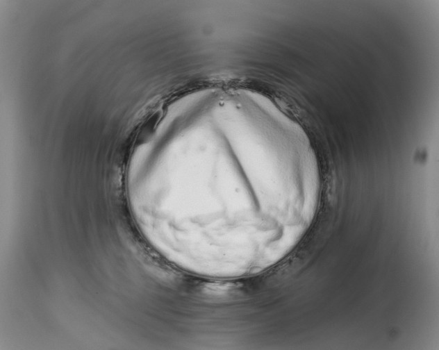 X0000114990375200911161519