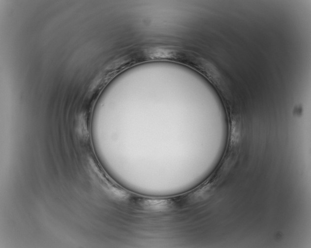 X0000114990377200911161519