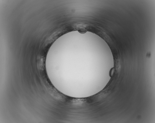 X0000114990378200911161519