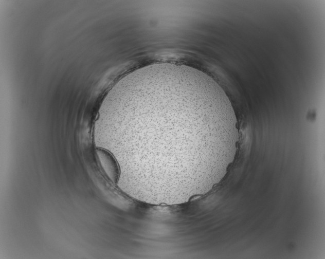 X0000114990381200911161519