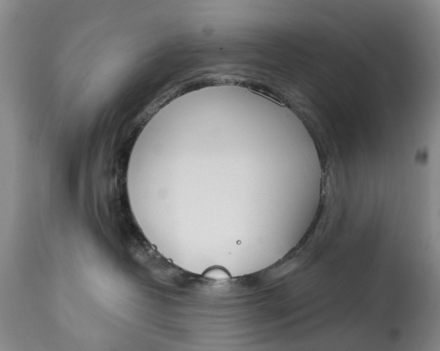 X0000114990382200911161519