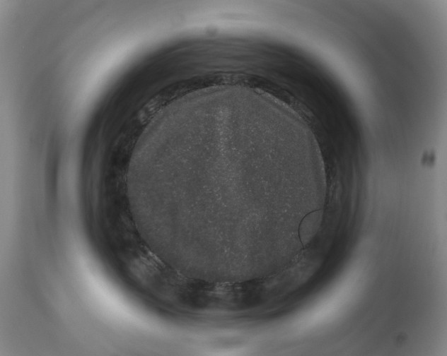 X0000114990383200911161519