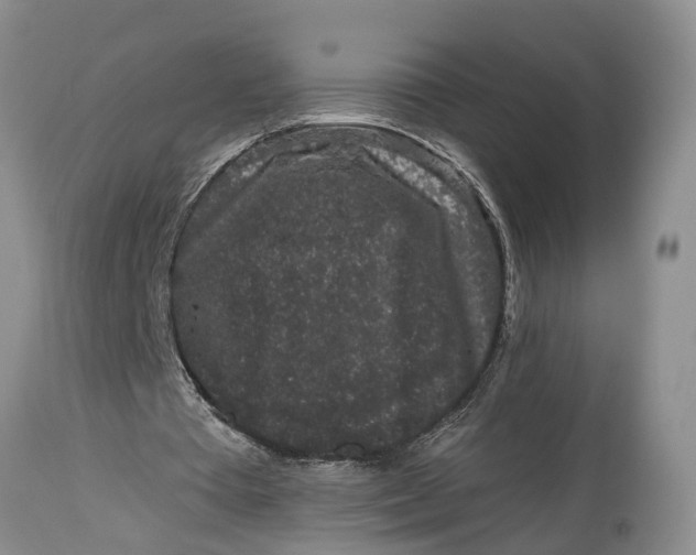 X0000114990385200911161518