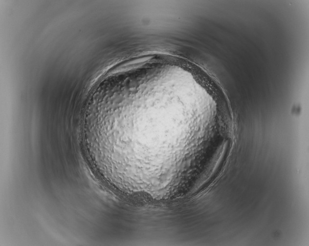 X0000114990386200911161518