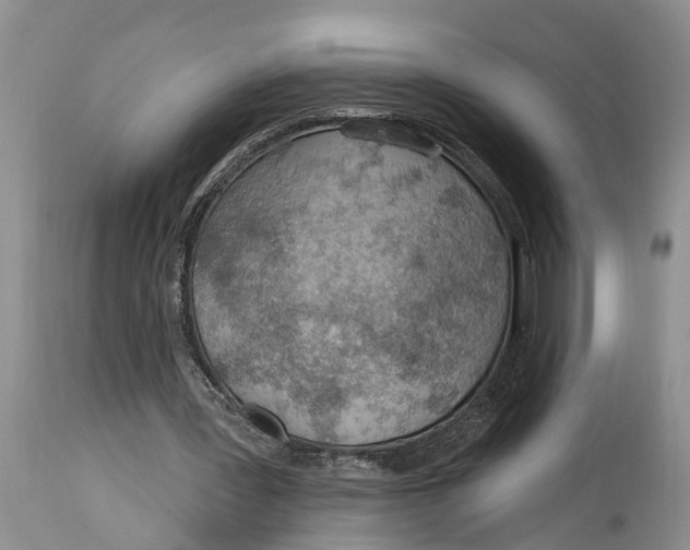 X0000114990387200911161518