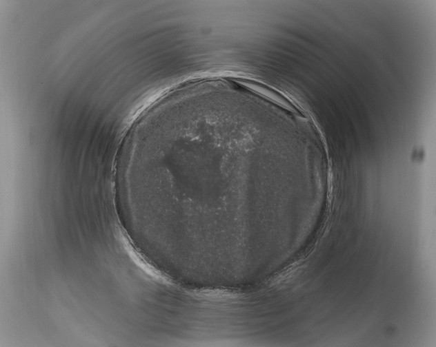 X0000114990389200911161518