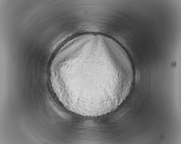 X0000114990390200911161518