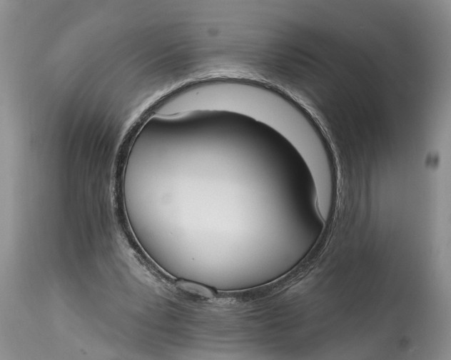 X0000114990391200911161518