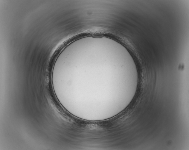 X0000114990392200911161518